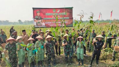 Dandim 0509, Pangdam Jaya dan Pj Bupati Bekasi Panen Jagung Bersama
