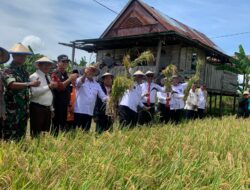 Panen Raya Padi Lazismu, Bupati Wajo: Lahan Persawahan Kita Lengkap dan Beragam
