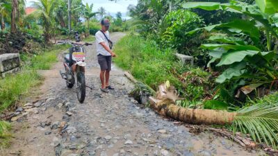 Tergerus Air, Badan Jalan Dusun Bali Dharma Nyaris Putus