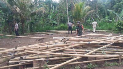 Kompak, Polisi dan Muspika Bongkar Arena Judi Sabung Ayam di Gedangan Malang
