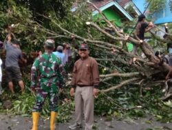 Akibat Angin Kencang, 45 Rumah di Sukapura Sragi Rusak, 1 Pohon Besar Tumbang