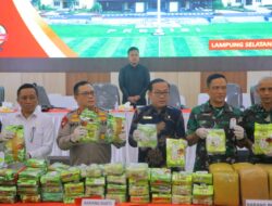 Kapolda Lampung Musnahkan Ratusan Kilo Barang Bukti Narkotika