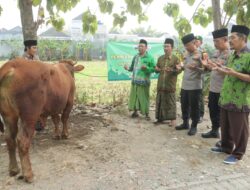 Berbagi kebahagiaan Hari Raya Idul Adha, Polres Mojokerto distribusikan Hewan Kurban 12 Sapi dan 17 Kambing