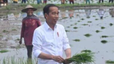Kunjungi Lampung Selatan, Jokowi Berikan Bantuan Mesin Pompa Untuk Petani