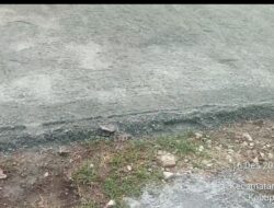 Dikerjakan CV Andry Megah Utama, Pemasangan Paving Blok di SDN Kertasari 05 Tampak Amburadul
