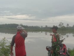 Ratusan Hektar Tanaman Padi di Desa Bali Agung Lamsel Terendam Banjir