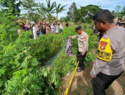 Warga Sukawangi Heboh, Mayat Perempuan Ditemukan Mengapung di Kali Balong Jaer