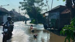 Luapan Kali CBL dan Kali Cikarang Rendam Ribuan Rumah di Kabupaten Bekasi