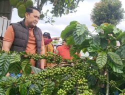Hari Kedua Kunker, Bupati M. Syukur Bagikan Bantuan, Buka Layanan Masyarakat dan Tinjau Potensi Daerah