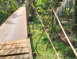 Miris…Kondisi Jembatan Penghubung Dua Desa Koto Baru – Desa Seling Makin Parah