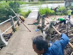 Usang Dimakan Waktu, Jembatan Way Pisang di Desa Palas Aji Lampung Selatan Nyaris Roboh