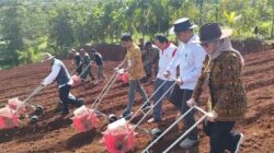 BIB Lembang Dukung Asta Cita Presiden melalui Penanaman Hijauan, Pakan Ternak, dan Jagung di Paseh Subang