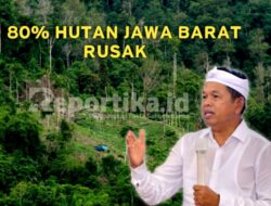 Dedi Mulyadi Ungkap Hutan di Jawa Barat Tinggal Dua Puluh Persen
