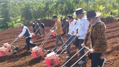 BIB Lembang Dukung Asta Cita Presiden melalui Penanaman Hijauan, Pakan Ternak, dan Jagung di Paseh Subang