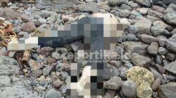 Penemuan Mayat di Perairan Pulau Sangiang, Diduga Penumpang KMP Dorothy yang Melompat ke Laut